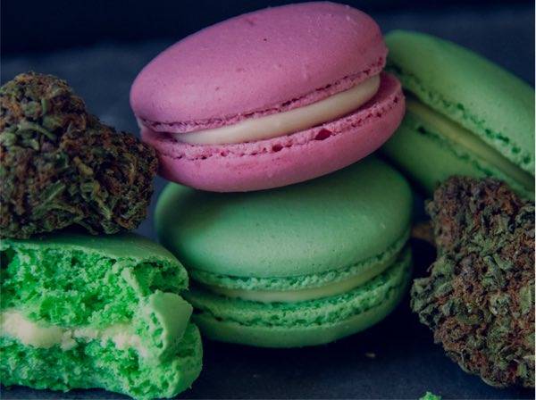 Greenfields Cannabis edible macaroons next to marijuana flowers