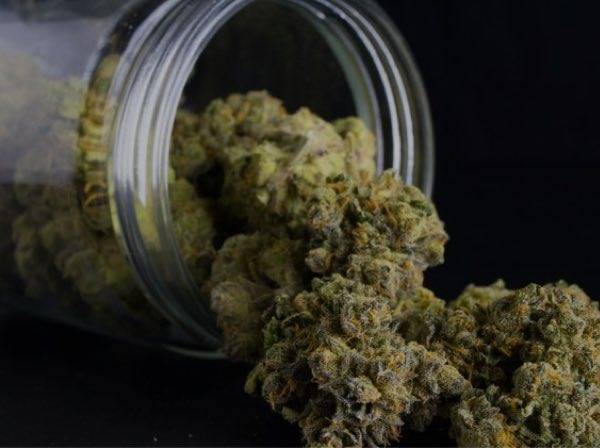 Buy Cannabis Flower Denver, CO 80223 | Greenfields Cannabis Co