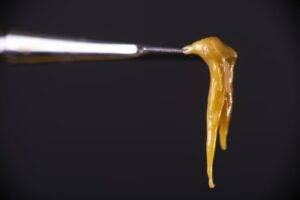 Live rosin from Greenfields Cannabis Co. hangs off the tip of a dab fork