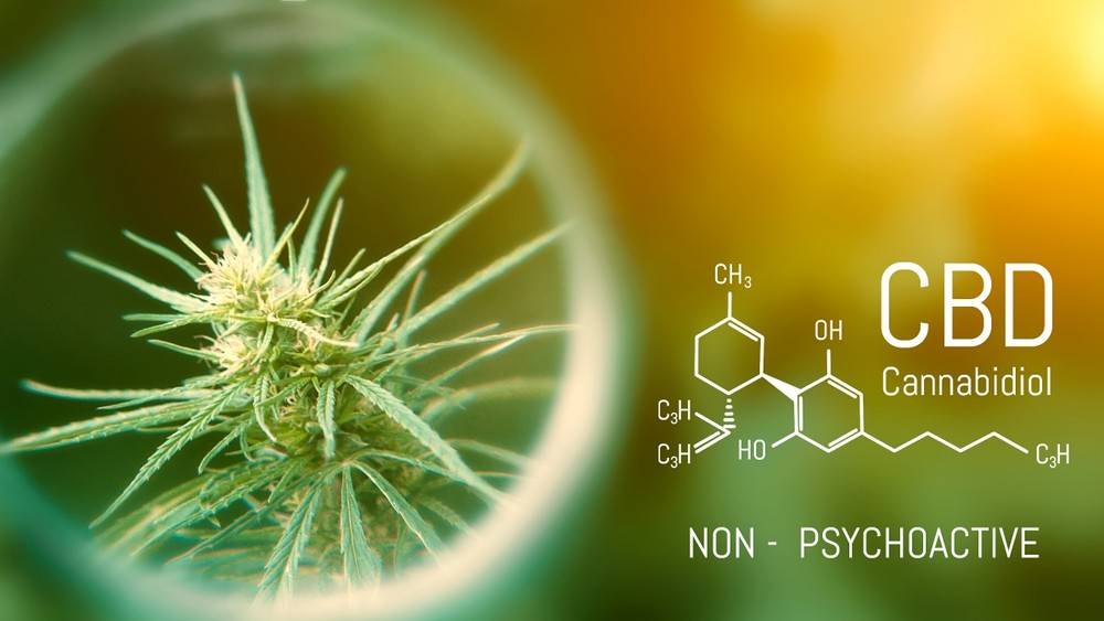 The Benefits of CBD