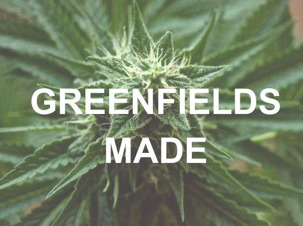 a close up image of marijuana with the text "Greenfields Made"