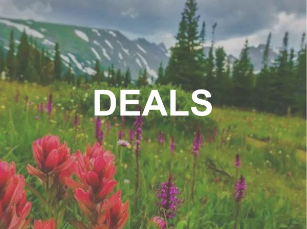 an image of flowers with mountains in the background with text reading "Deals"