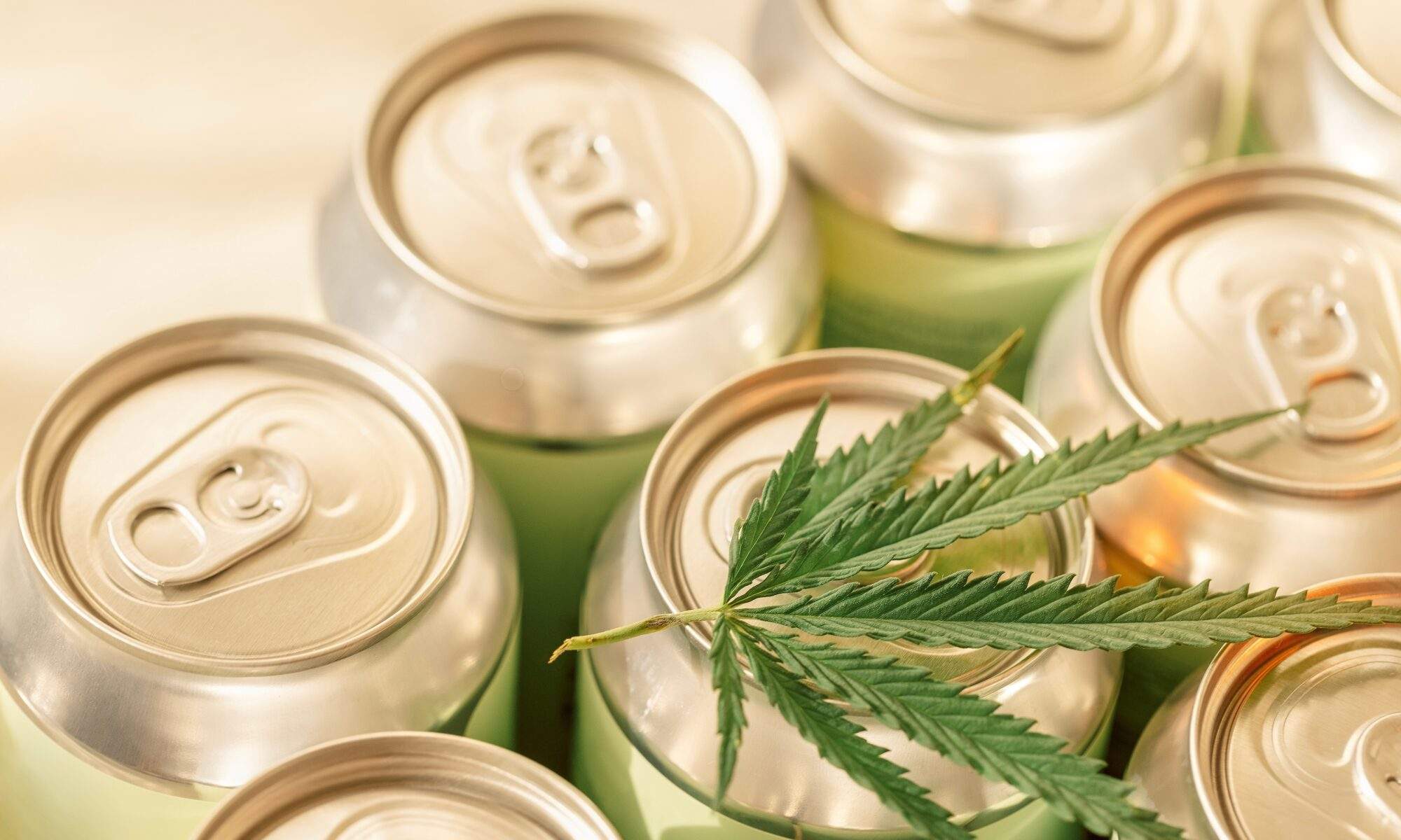 Cannabis Infused Beverages with cannabis leaf on the top